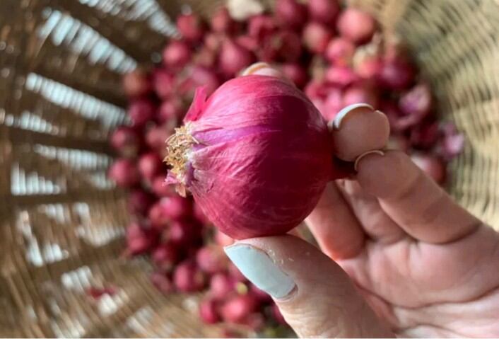 hành tím loại to 1kg