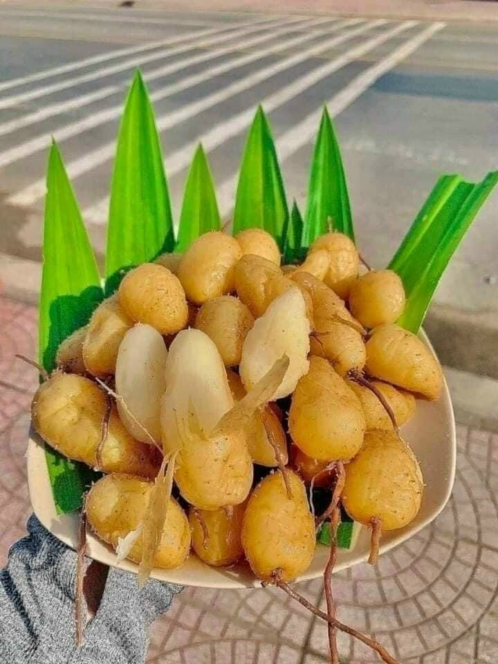 2kg củ lùng ngon, còn sống khách về tự luộc