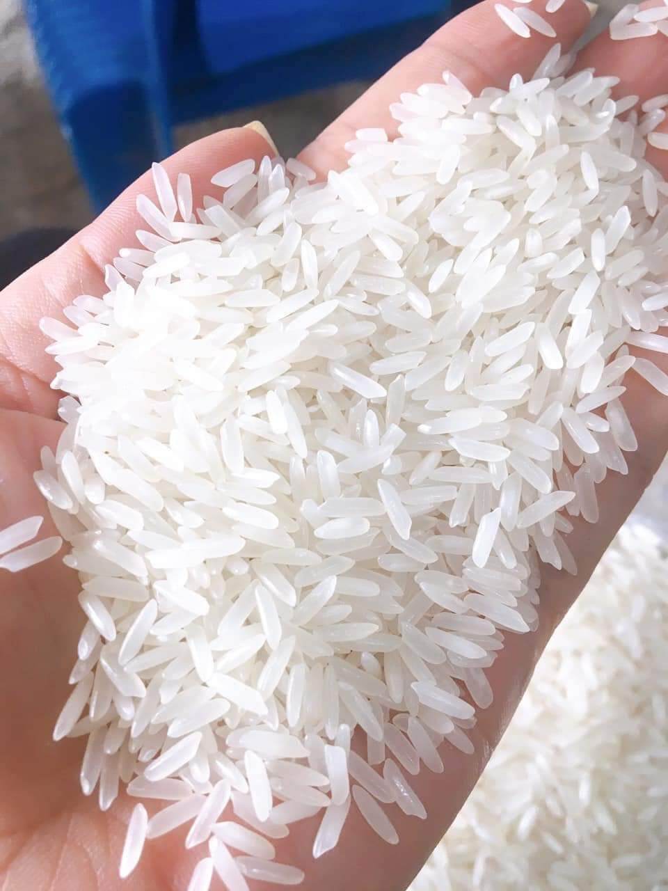 gạo tẻ  Cát Tiên bao 10kg