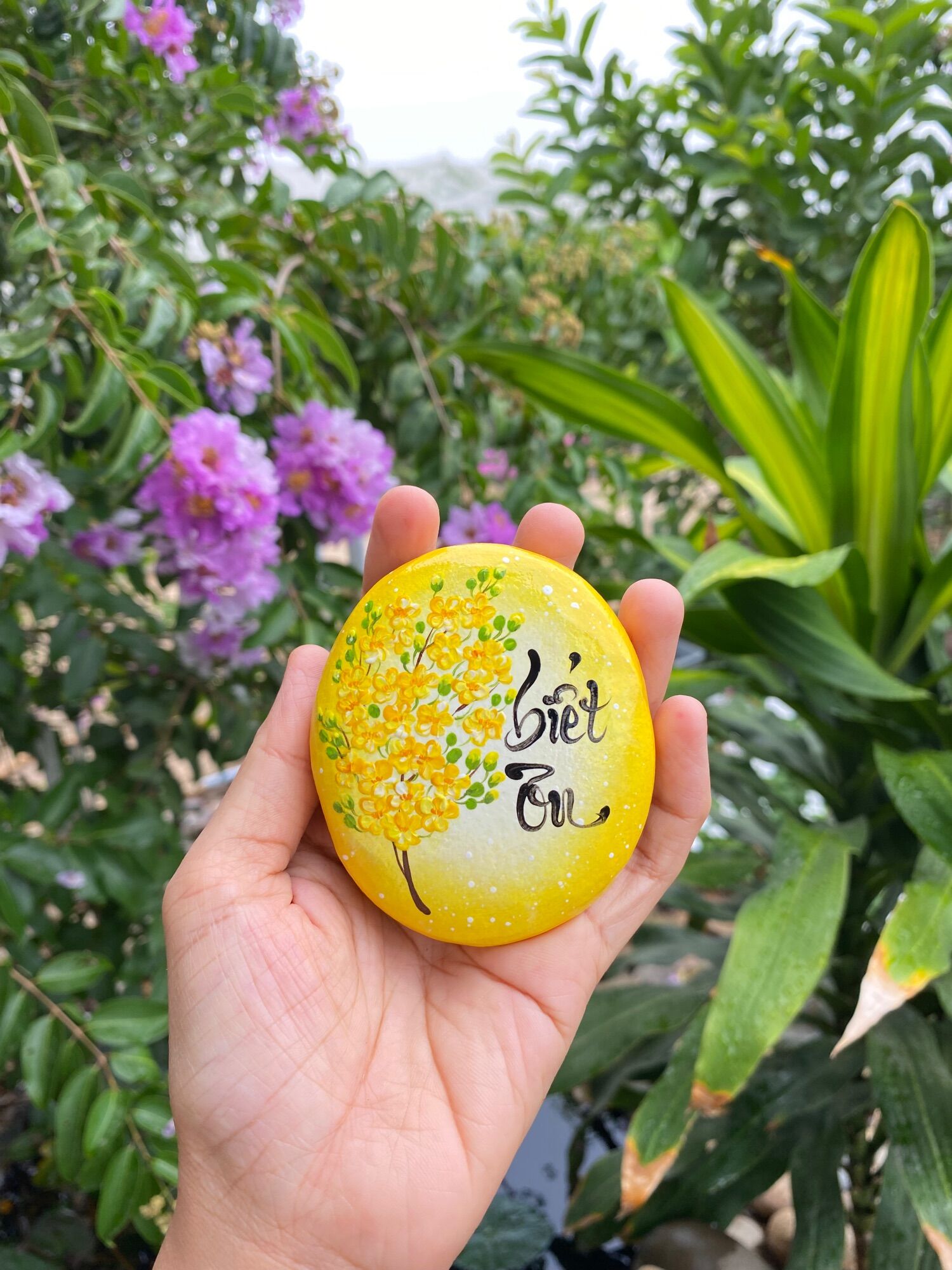 Hòn đá biết ơn mẫu hoa mai