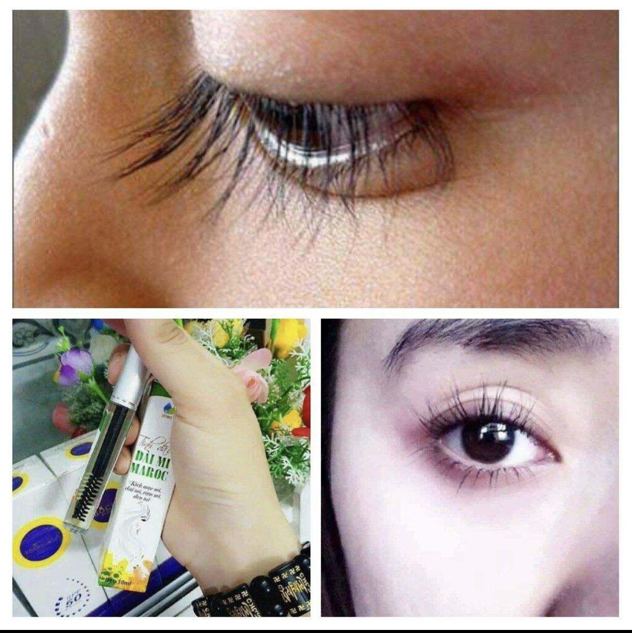 Tinh dầu dài mi MAROC 100% thiên nhiên