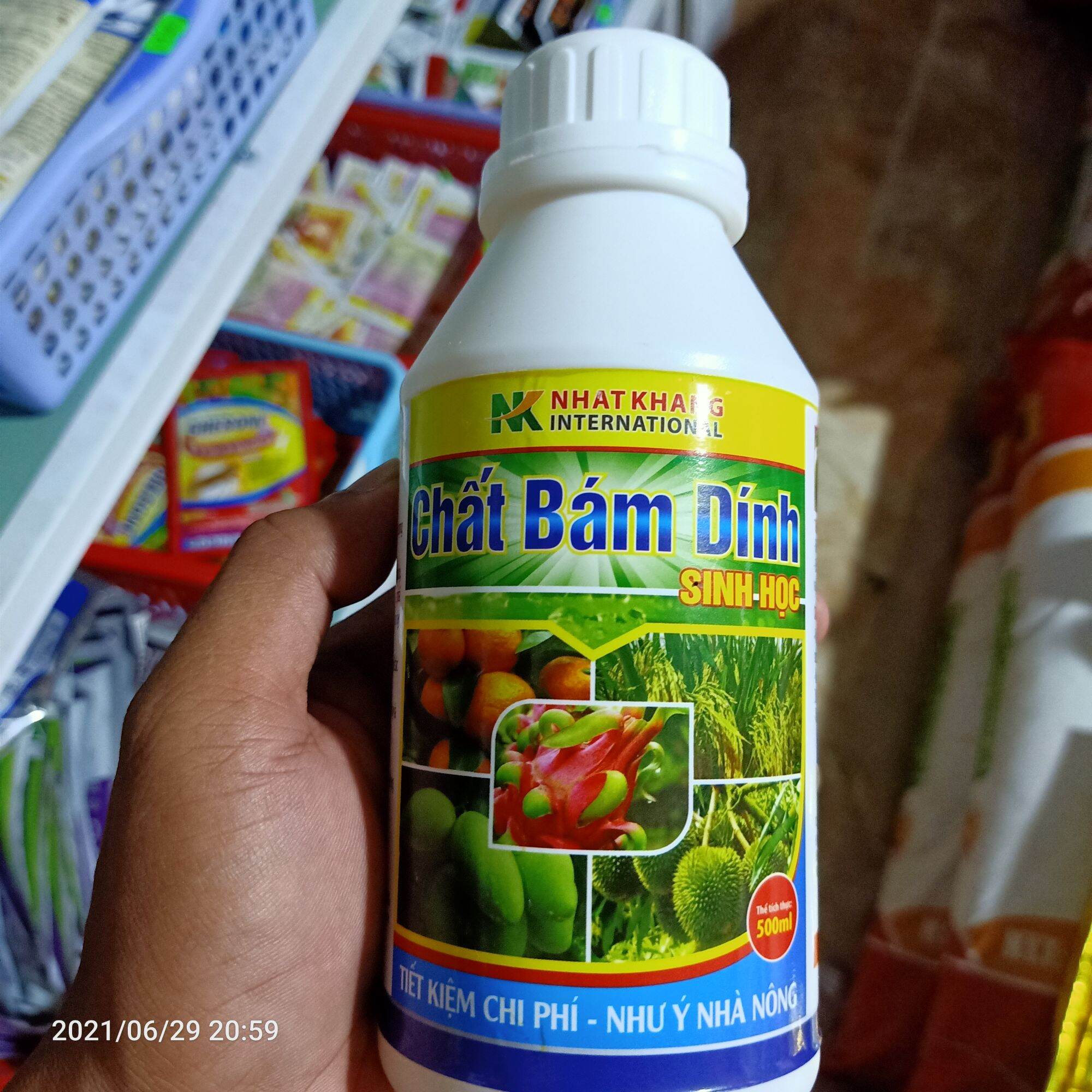 Bám dính sinh học