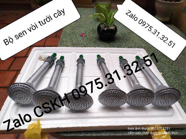 Vòi sen phun tưới cây cảnh hoa