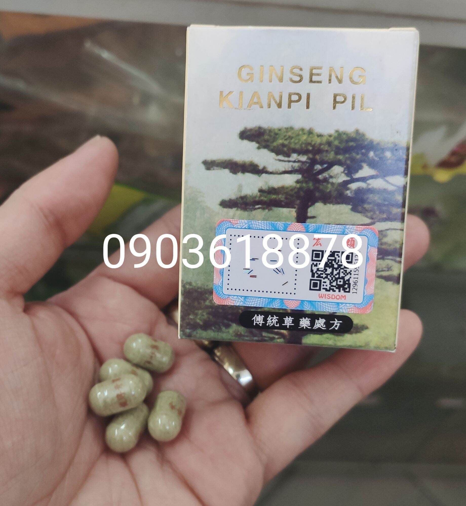 Nhân Sâm Kiện Tỳ - Kiện Tỳ Cây Thông