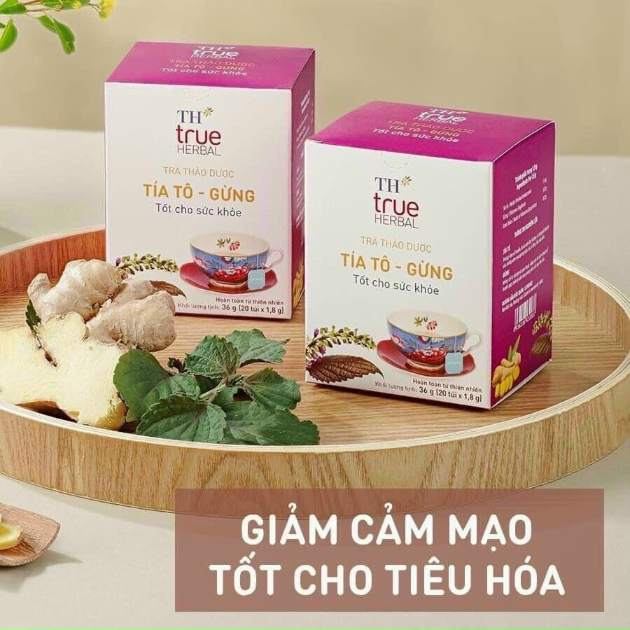 Hộp trà tía tô - gừng th true herbal