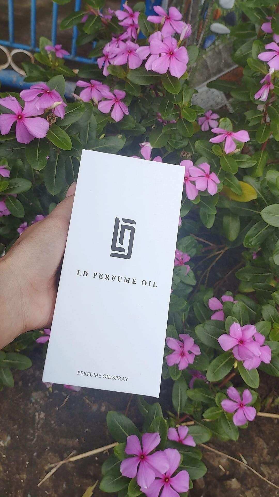 Tinh dầu nước hoa LD PERFUME OIL (Nam)- Rep.li.ca - mã 10
