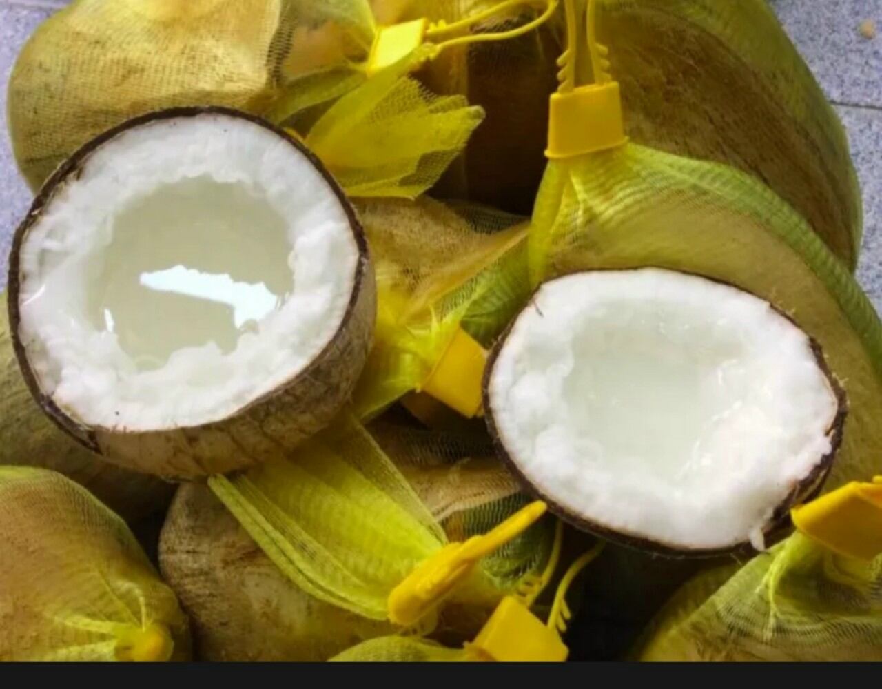 DỪA SÁP LỎNG TRÁI TO HƠN (1000G)