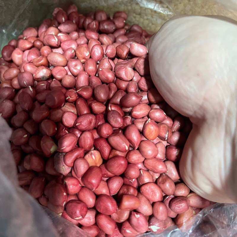 1Kg lạc đỏ Tây Bắc thơm ngon chắc củ