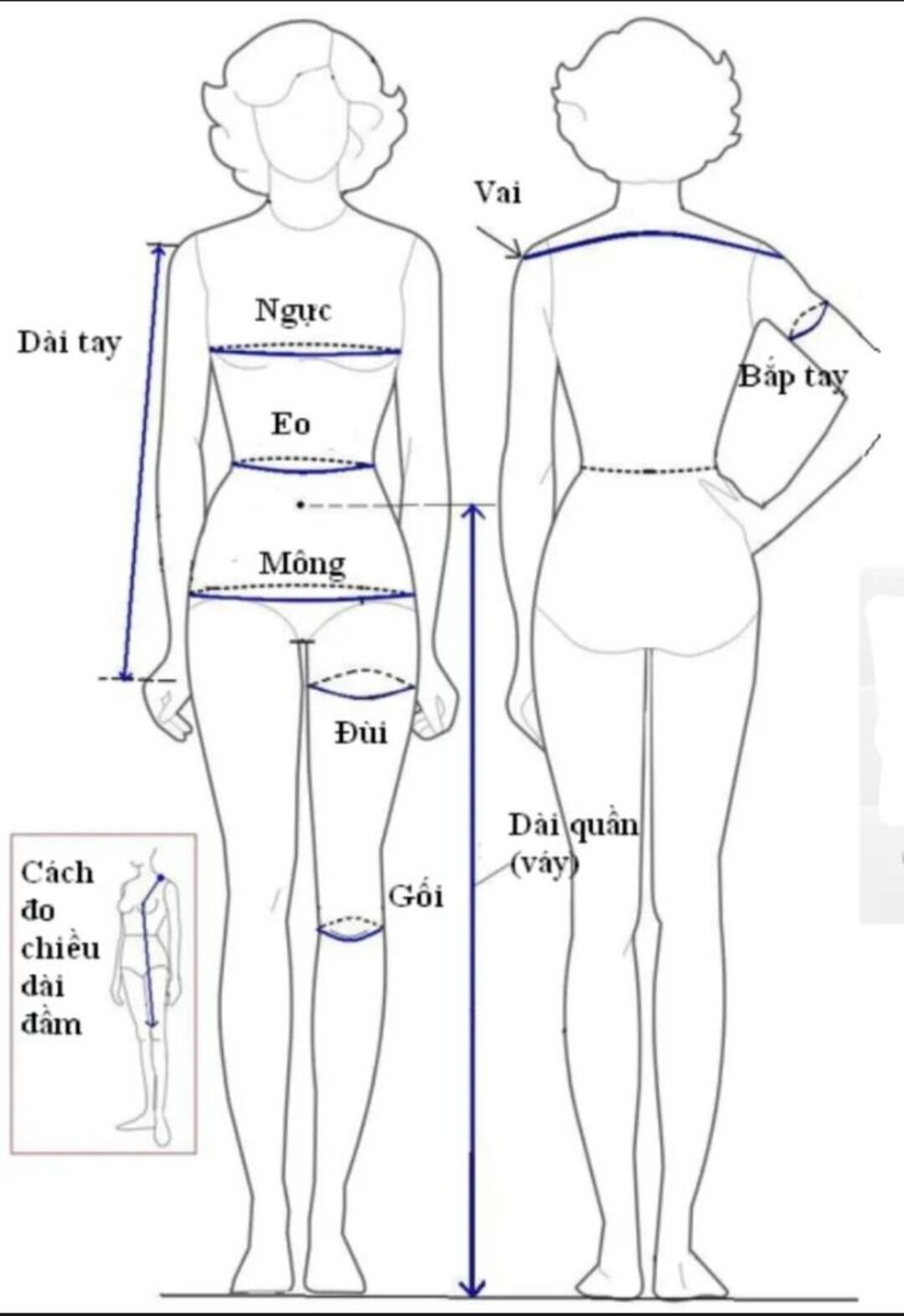 Đầm Dạ Hội   Ren Thêu