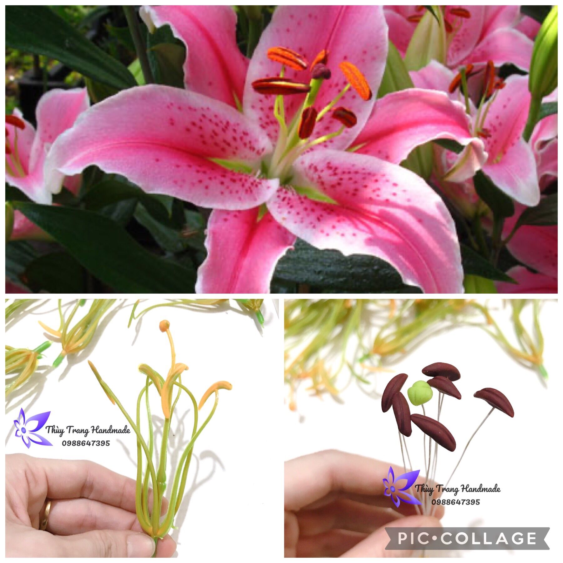 Nhuỵ, nhị hoa lily làm hoa lyly bằng hoa giấy, hoa voan