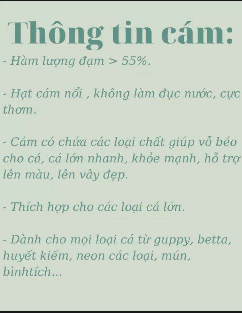 Cám Thái INVE NRD 2/3 (Hủ 50g)