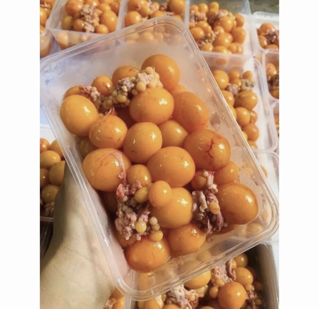 1KG TRỨNG GÀ NON (ship hoả tốc hcm)
