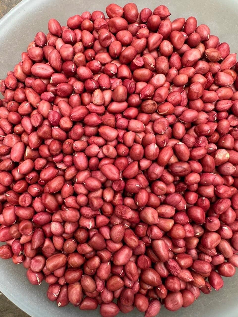 0,5 kg đậu phộng đỏ