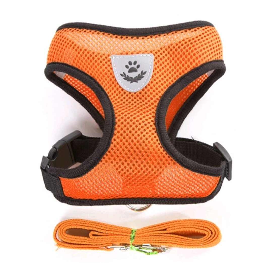 Dây dắt + áo yếm lưới cho chó mèo đủ size