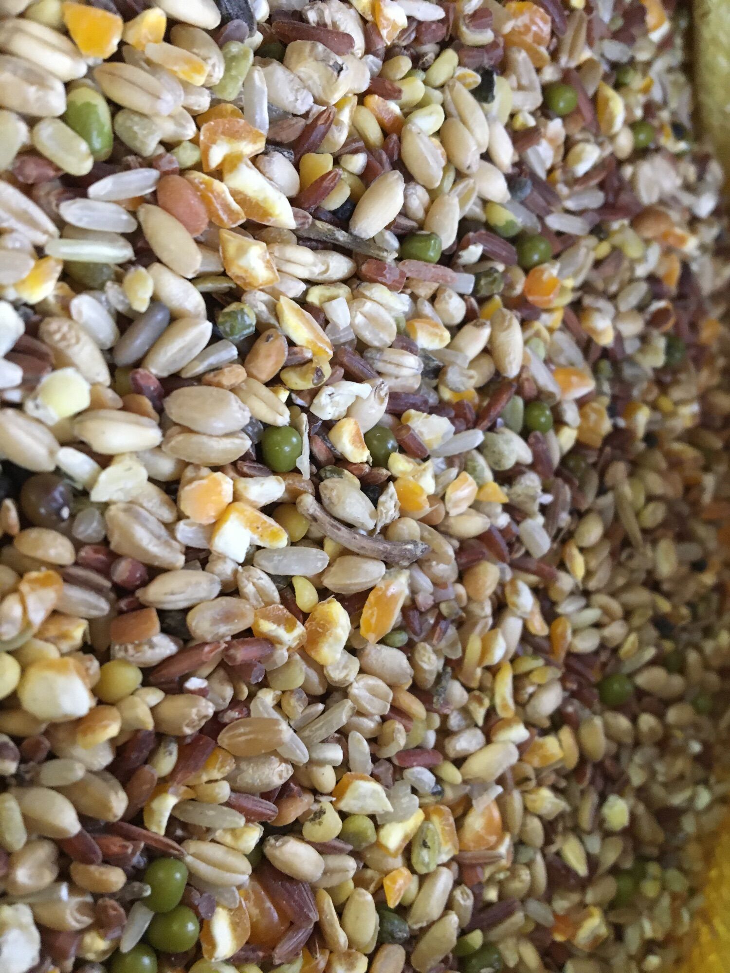 Ngũ cốc gà đá 1kg