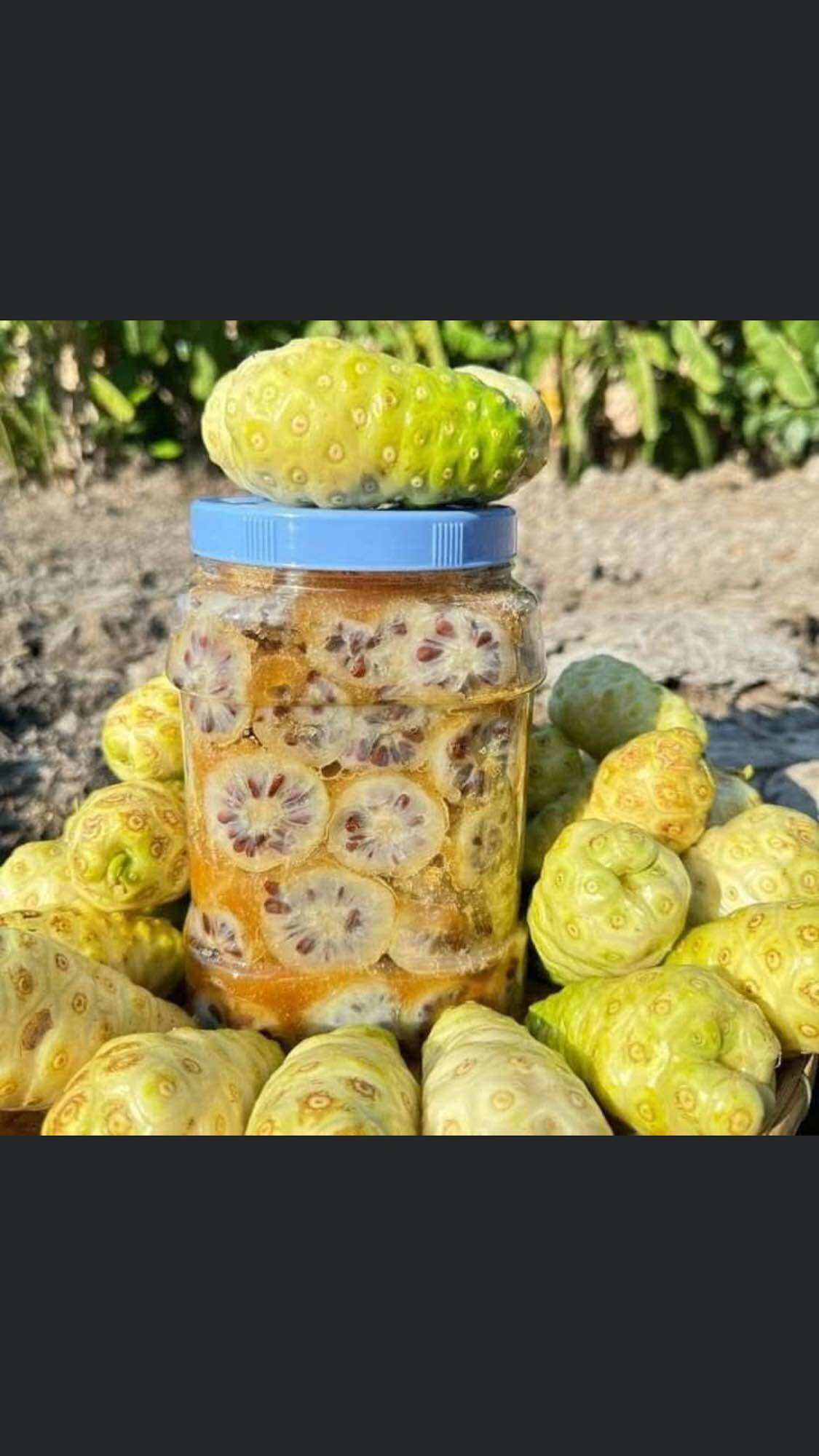 NHÀU TƯƠI NGÂM ĐƯỜNG phèn Bình 1kg