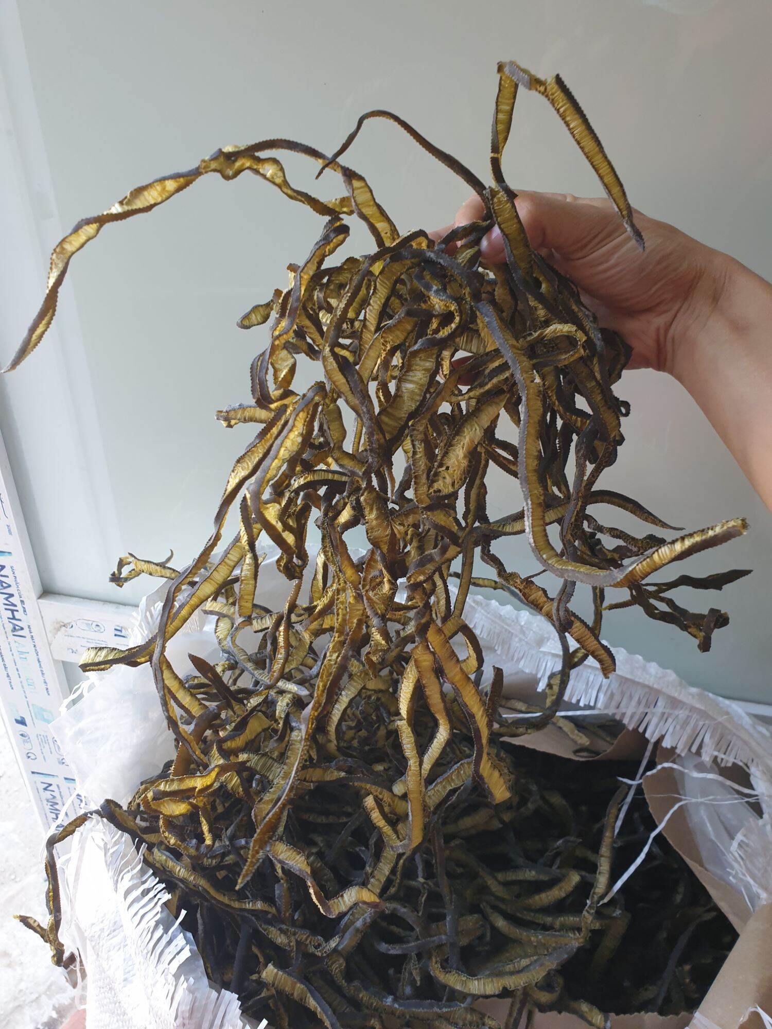 Chilean Spirulina 500Gr