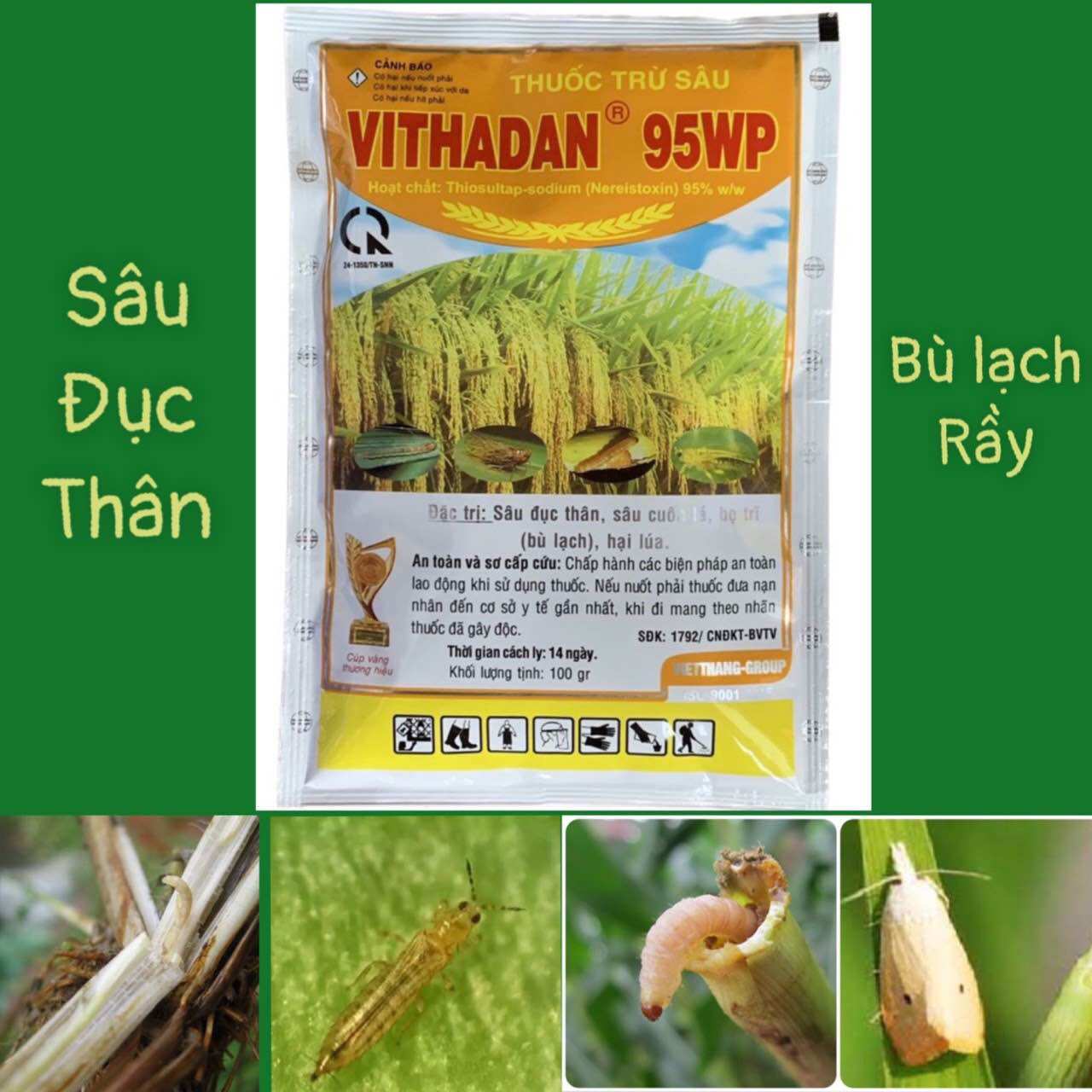 Vithadan 95wp| padan trung quốc