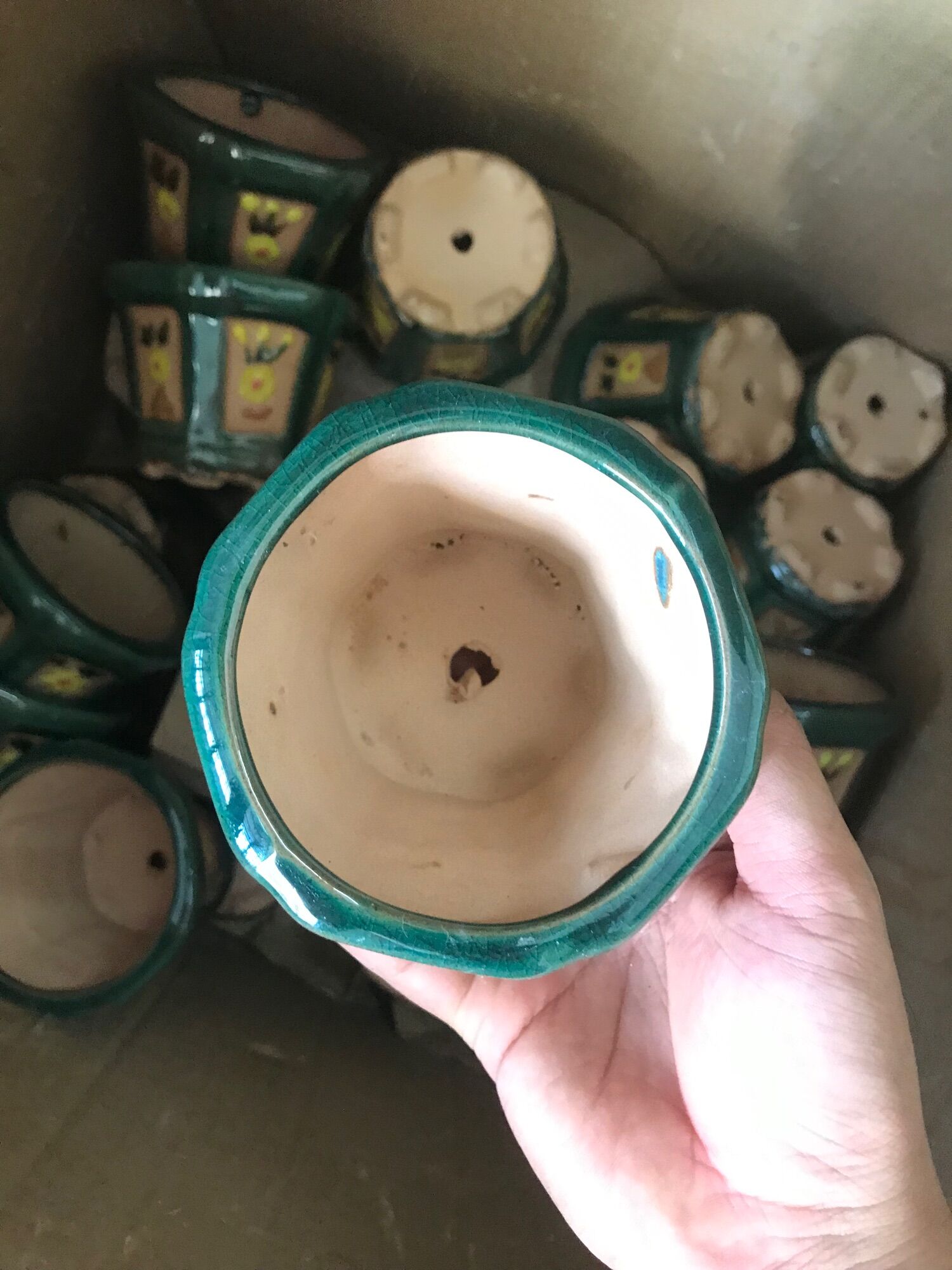 Chậu lục giác mini