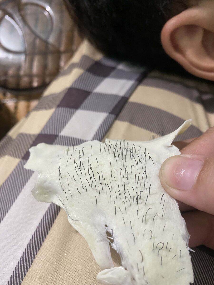 combo sáp wax lông dùa