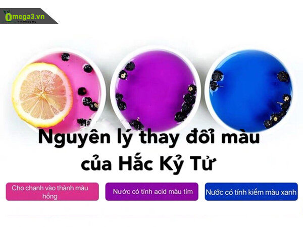 Hắc kỷ tử loại ĐẶC BIỆT-100g -HSD:2025