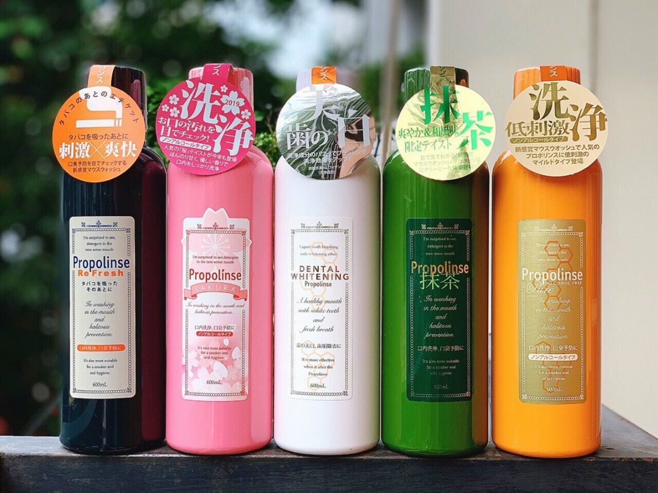 Nước súc miệng Propolinse NHẬT BẢN 600ml