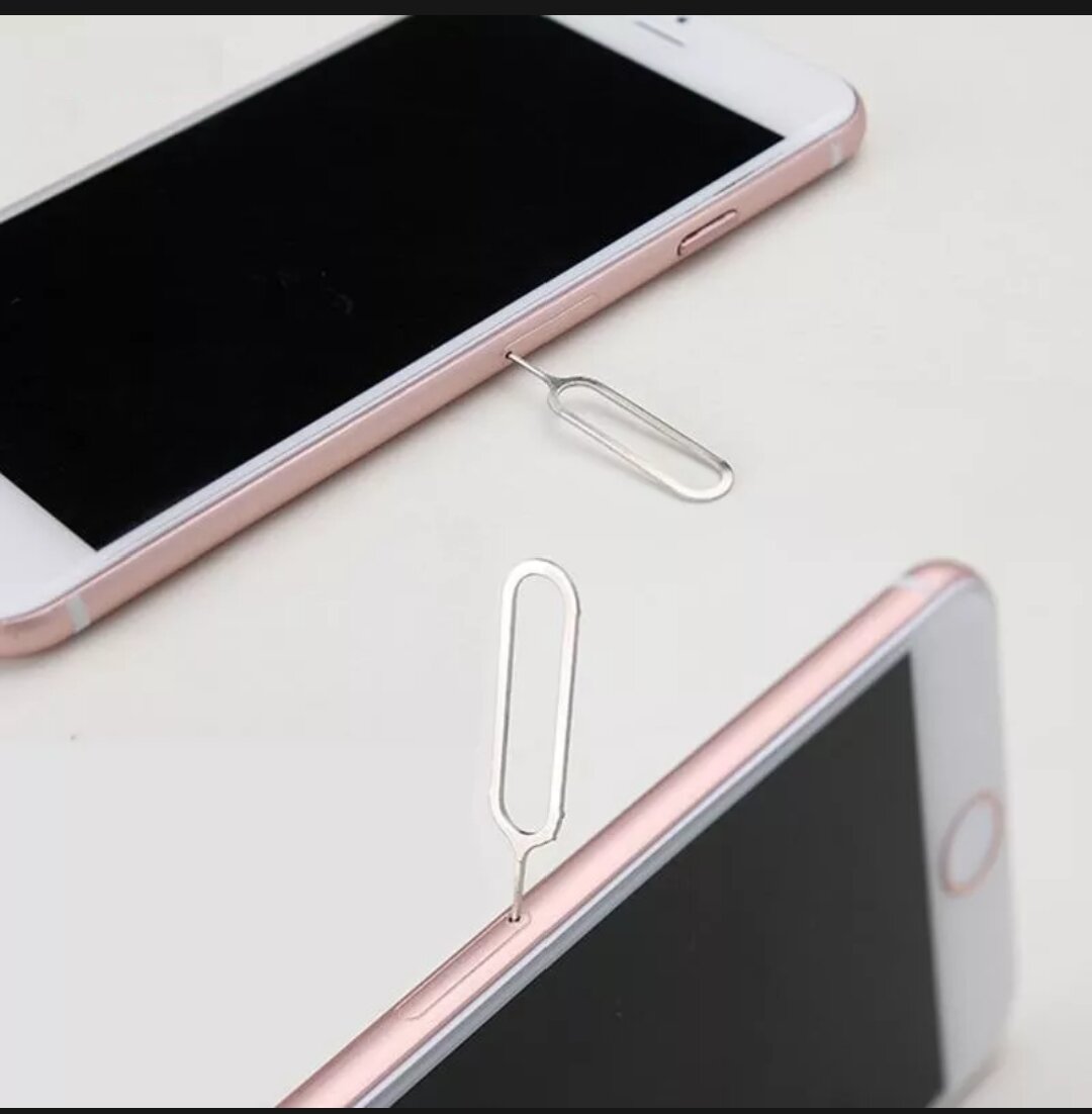 Que Chọc Sim - Cây lấy sim thép không rỉ