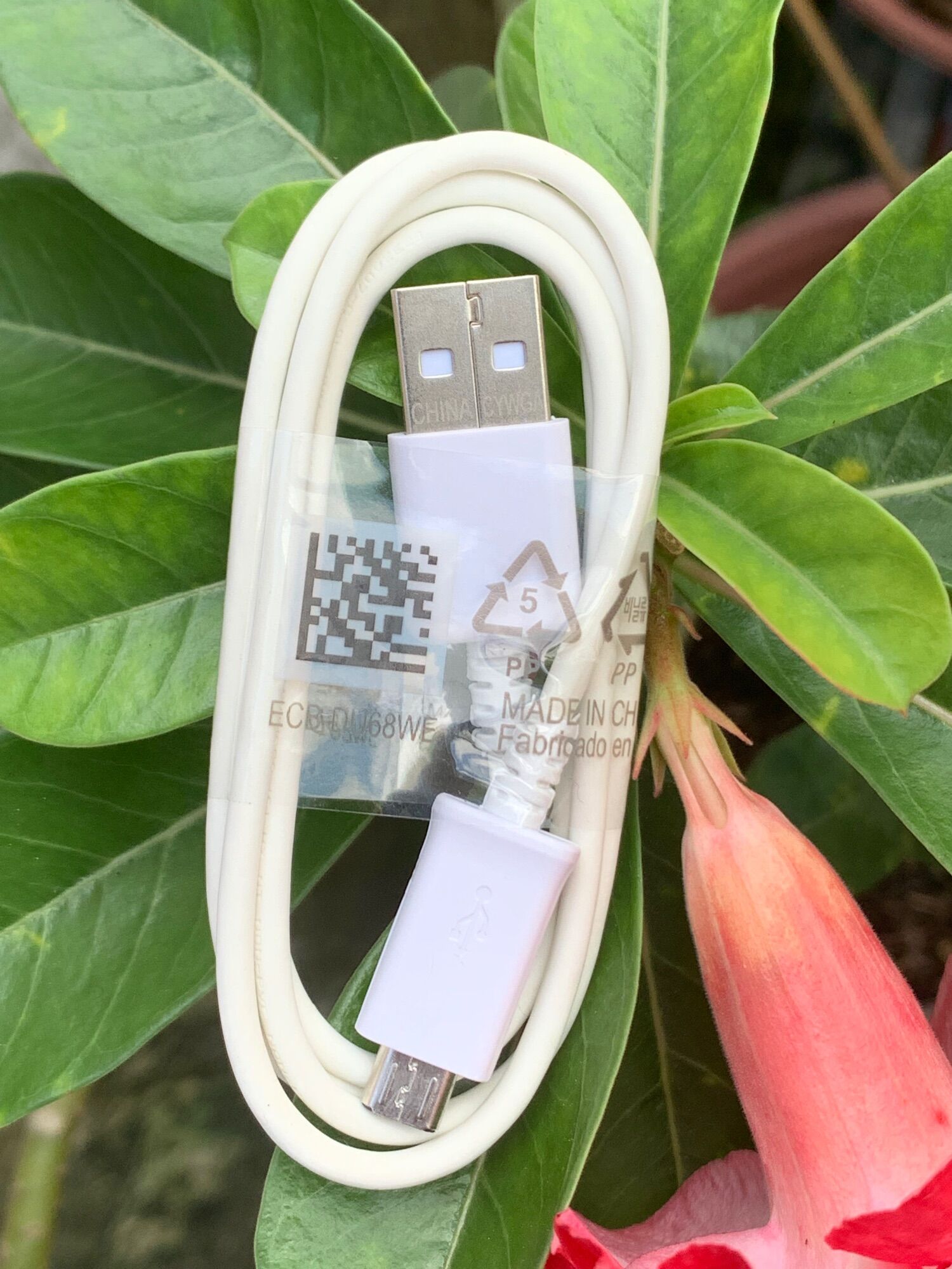Cáp Micro hàng công ty