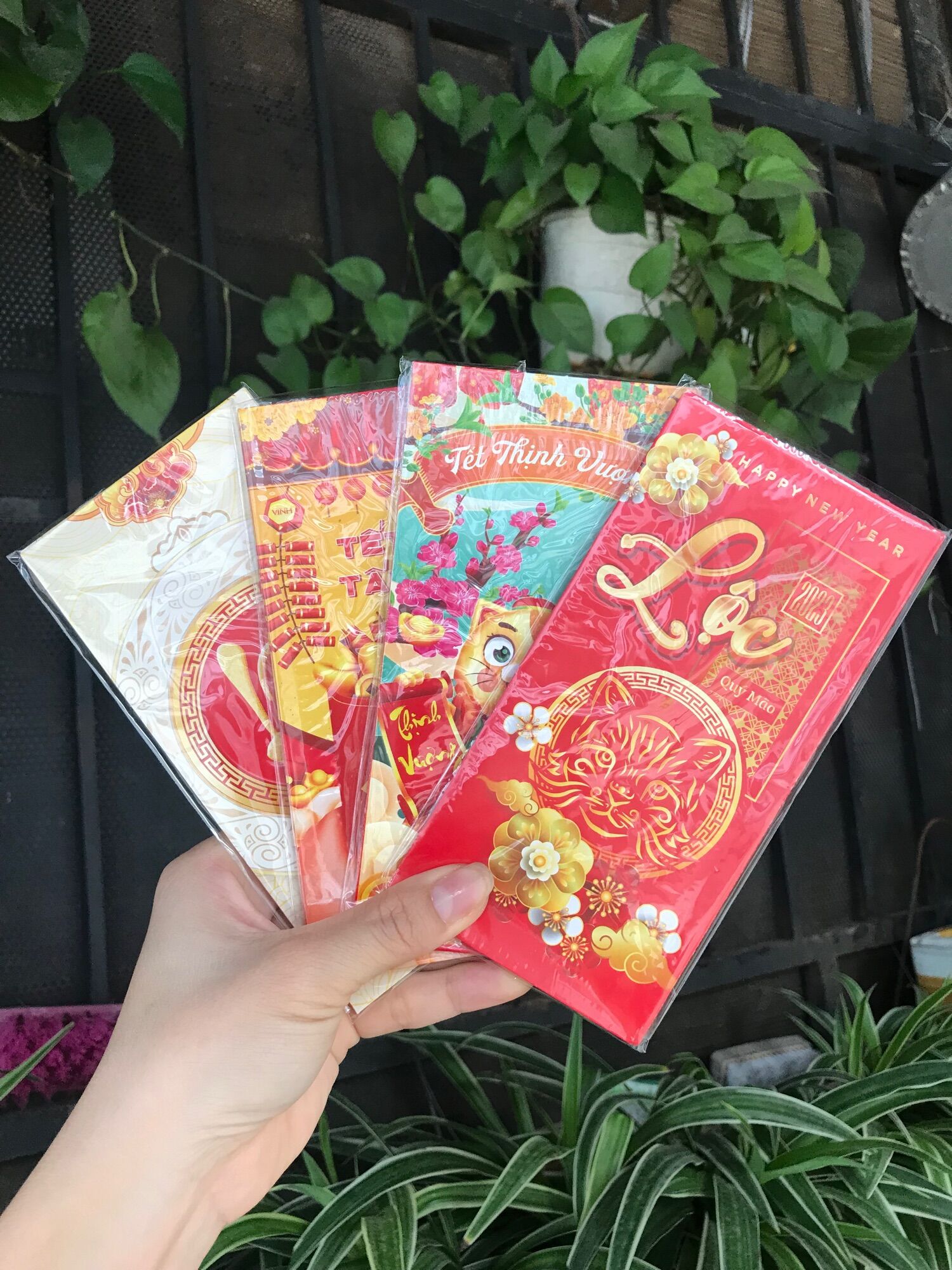 Combo 6 Bao Lì Xì Tết Quý Mão 2023