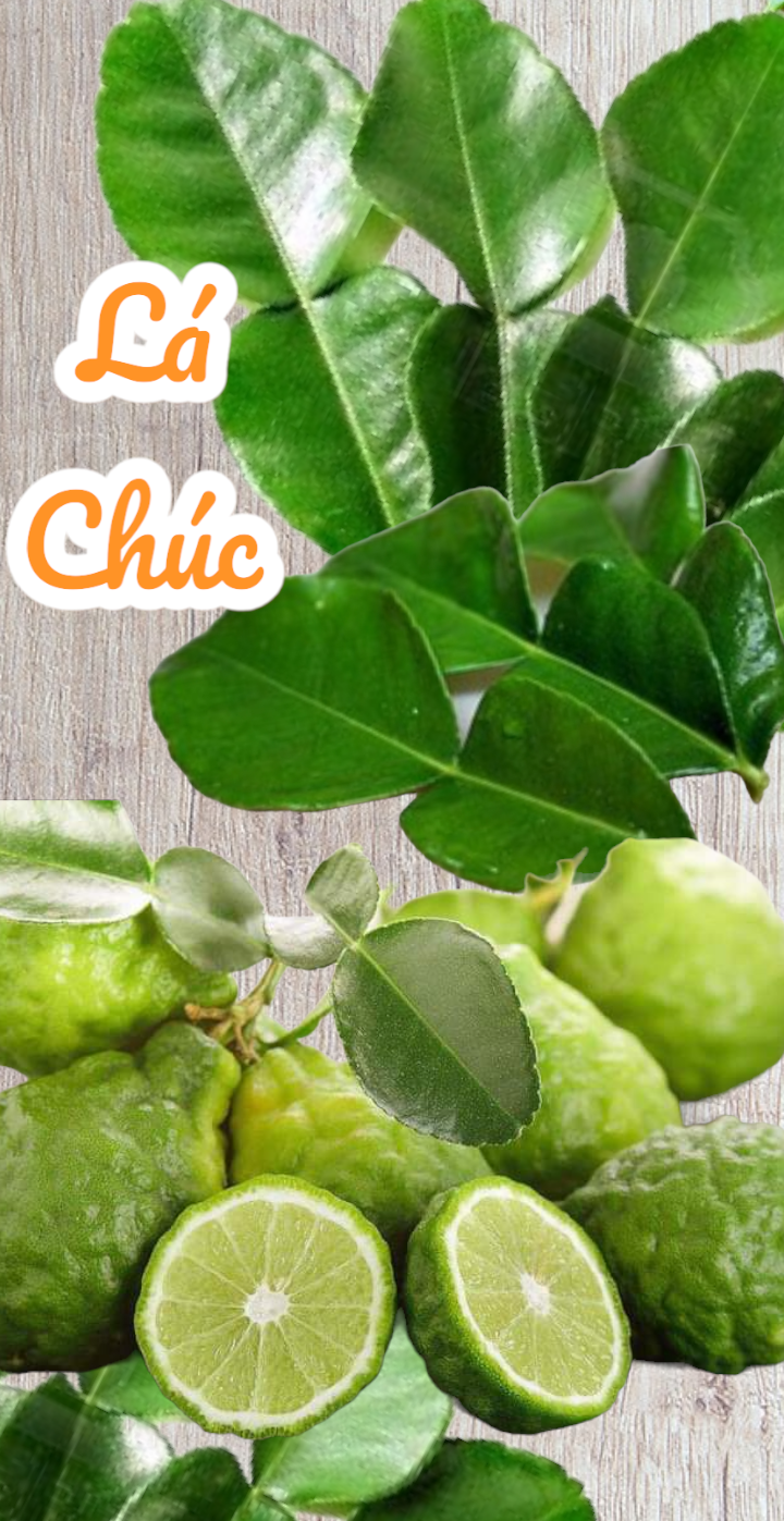 Lá chúc tươi - 500g