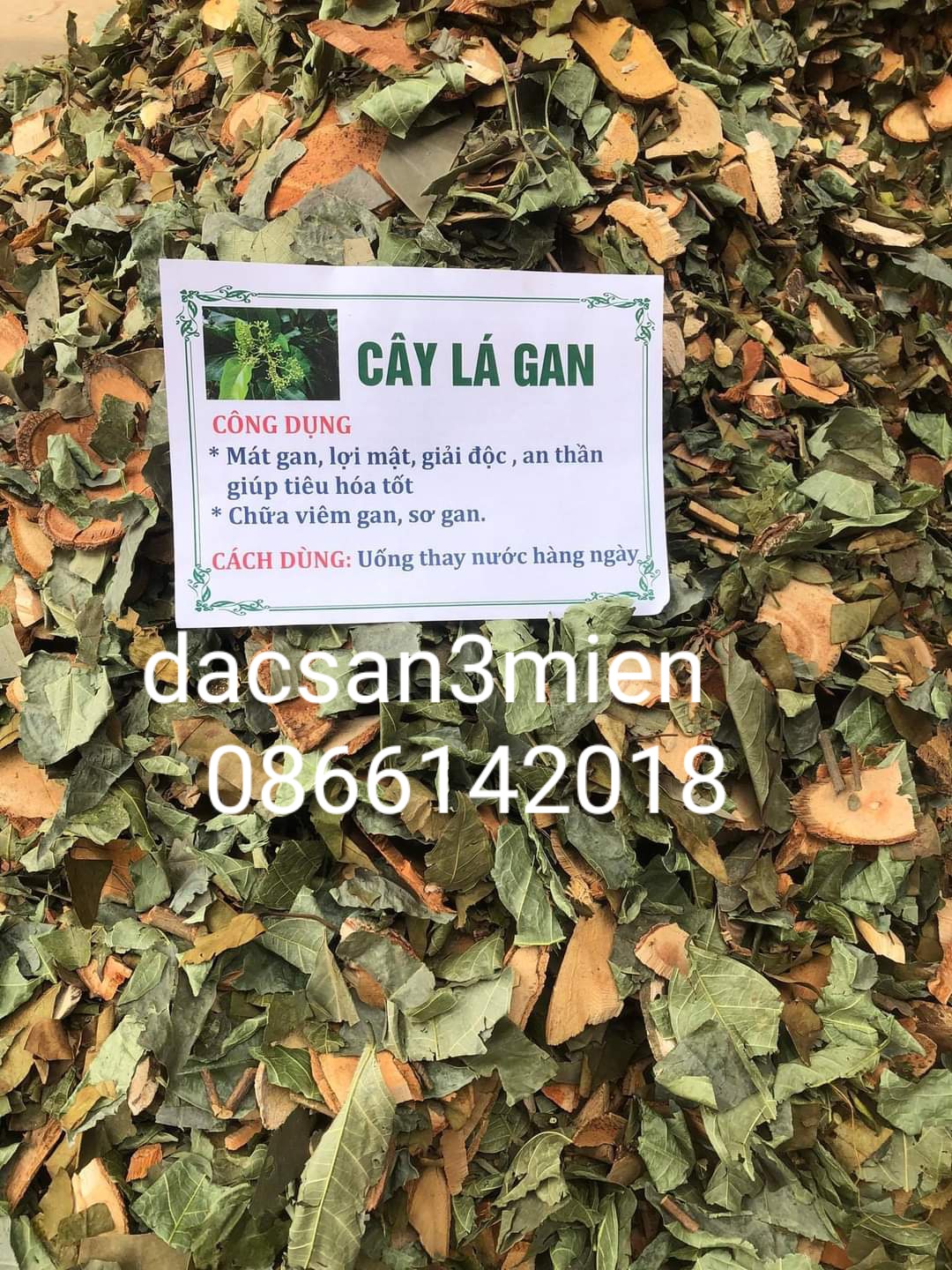 Cây lá mát gan rừng 1 kg