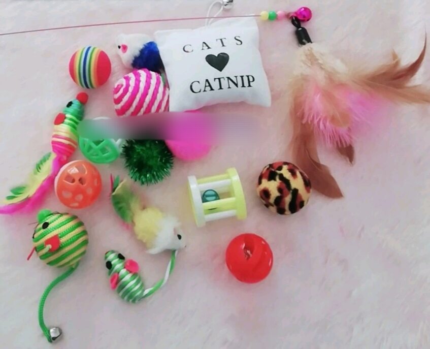 Combo 16 Món Đồ Chơi Cho Chó Mèo