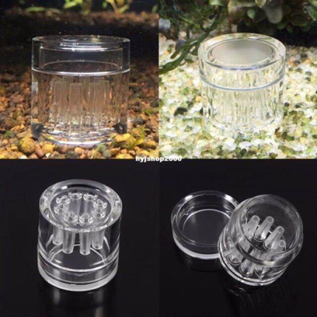 Bẫy Sán Nhựa 8 Lỗ