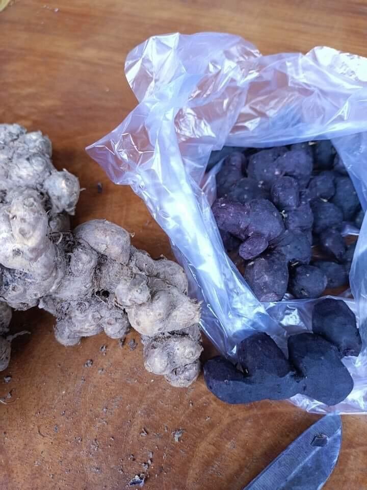Gừng đen tươi 1kg