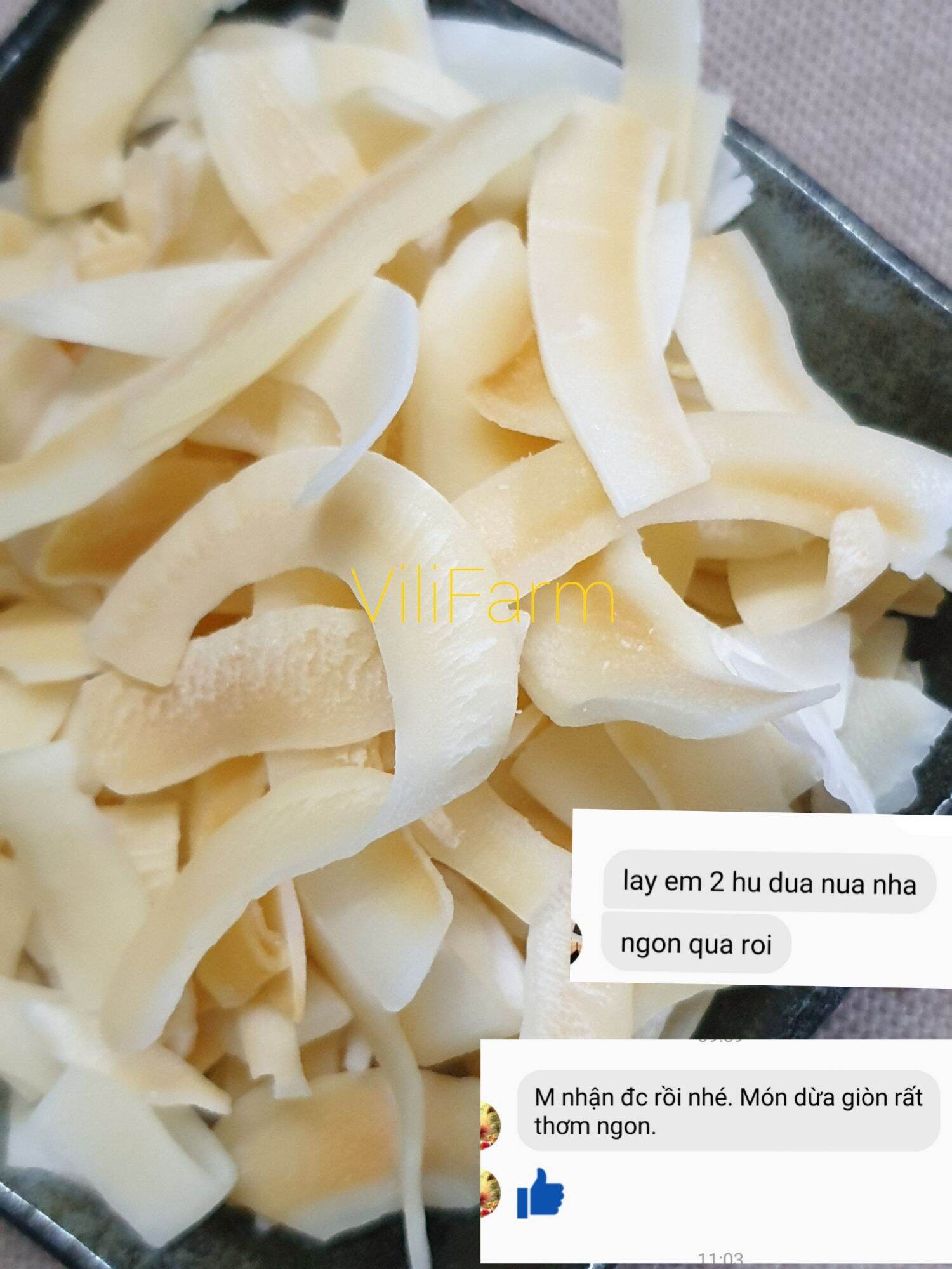 Dừa non sấy giòn nguyên vị 120g