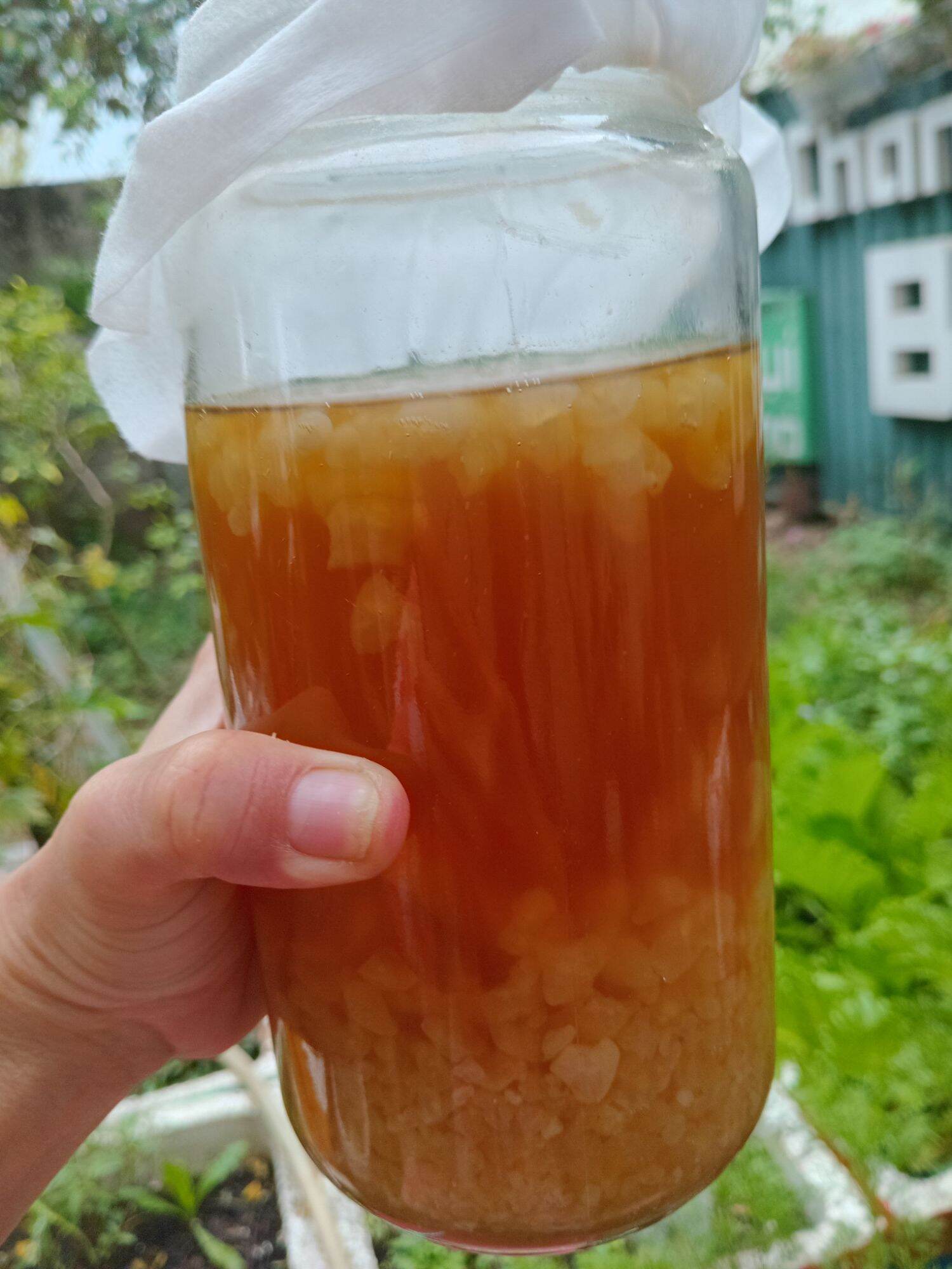 hủ thủy tinh 1L nắp thiết