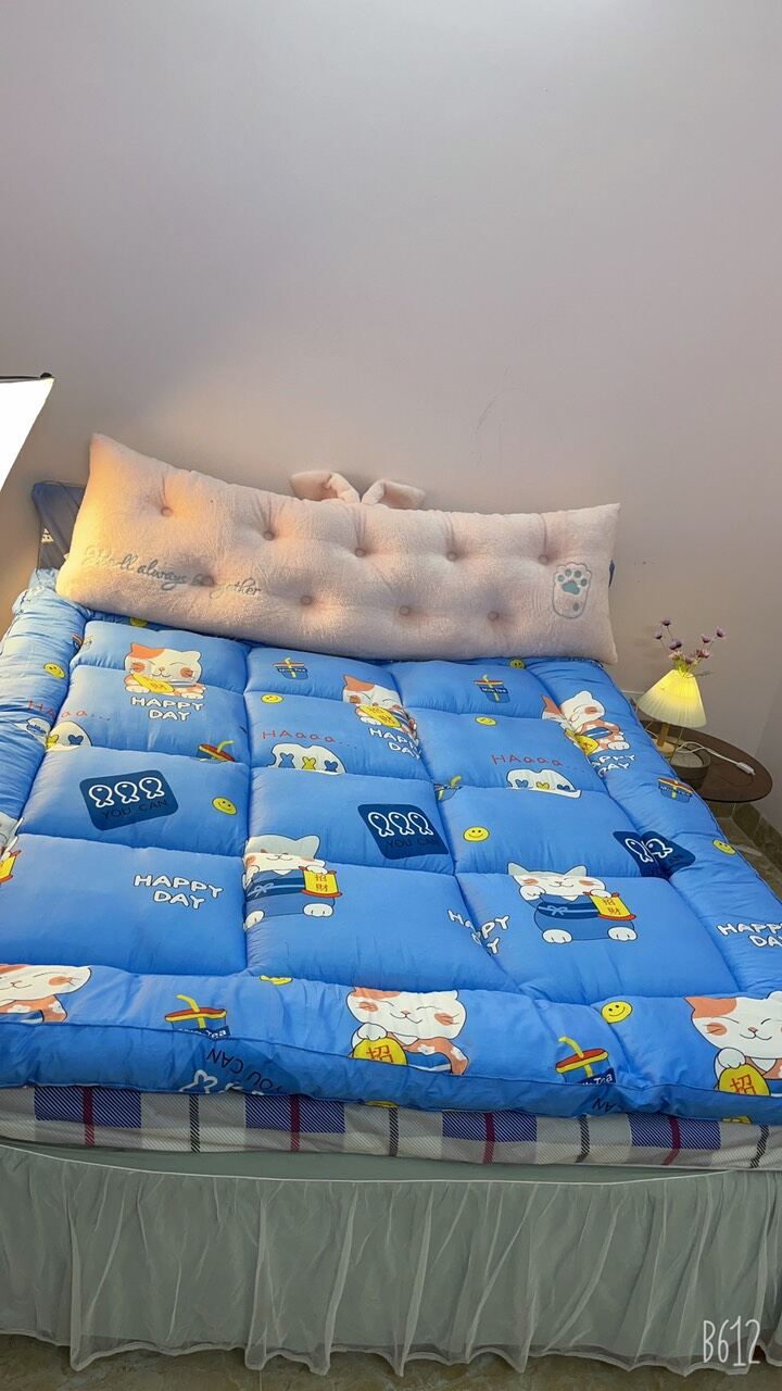 Nệm toper ,tấm làm mềm nệm khách sạn 5*