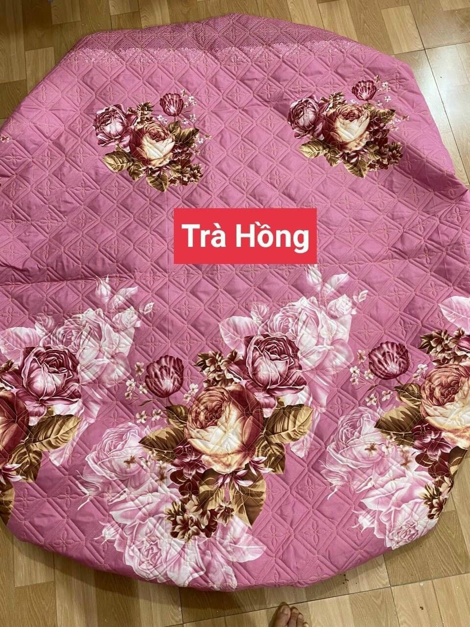Bộ 3 món ga gối chần bông Cotton poly