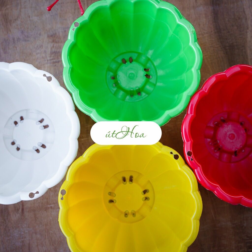 Combo 10 Chậu Treo Bí Lớn 22X14Cm (Chọn Màu, Kèm Dây Treo)