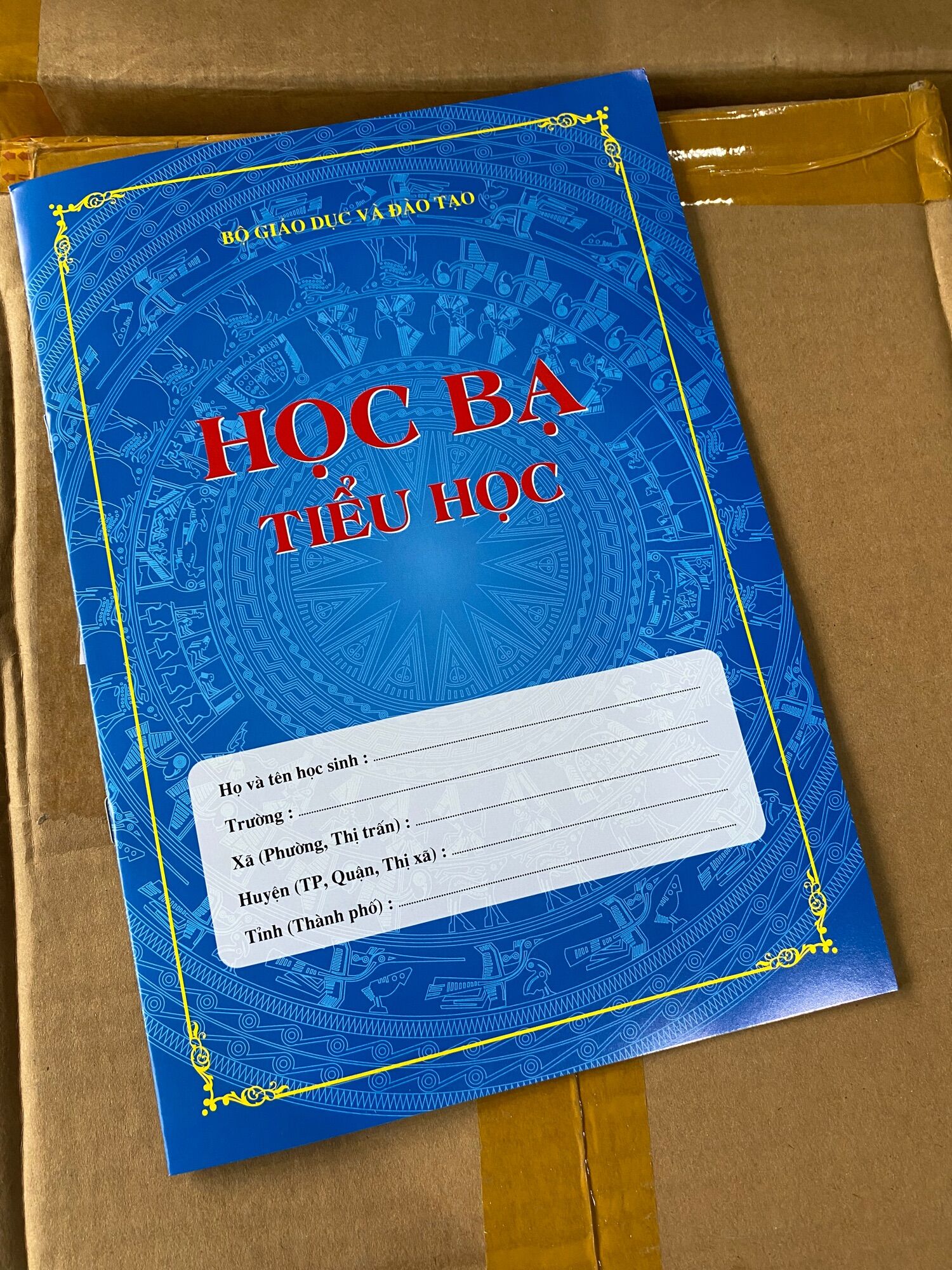 Học bạ tiểu học thông tư 27