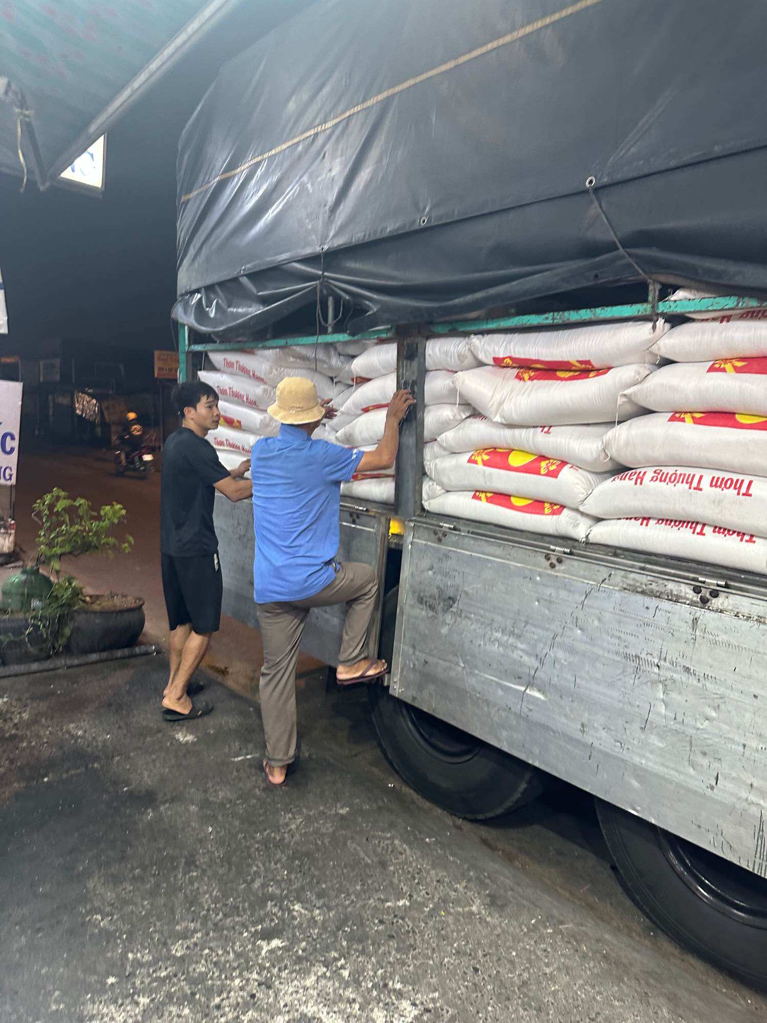 Gạo Lài  Dẻo Mền Thơm Nhẹ  (Dẻo Thơm Cơm EB)