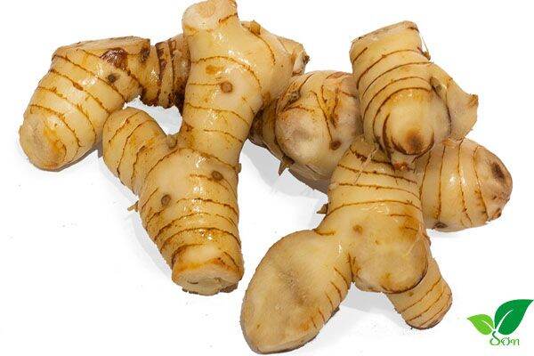 Củ giềng tươi 1kg