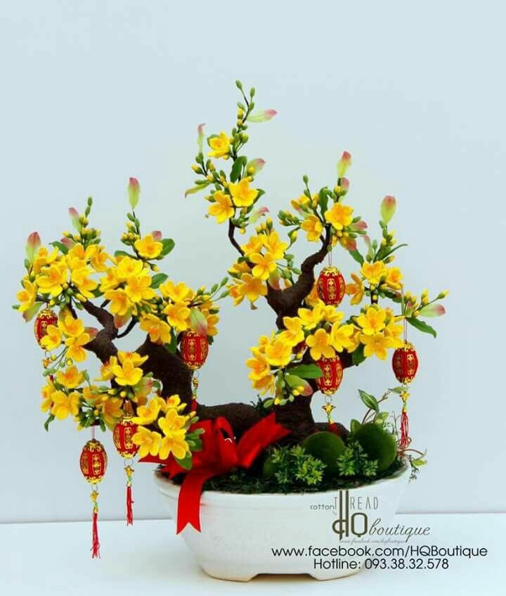 Gốc Giả Mai Đào, Gốc Bonsai