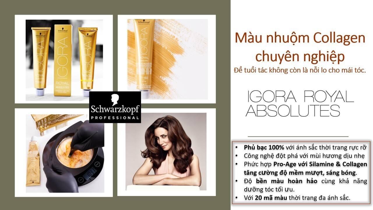 Kem Nhuộm Phủ Bạc Schwarzkopf Igora 60ml