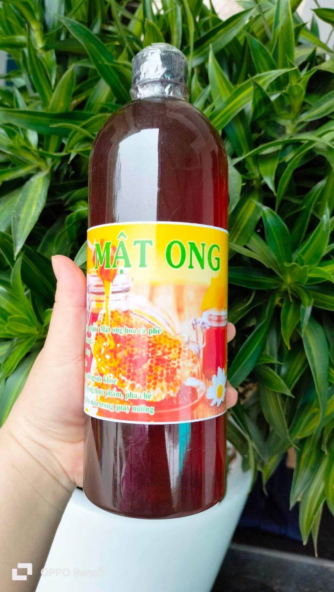 Mật ong hoa cà phê nguyên chất