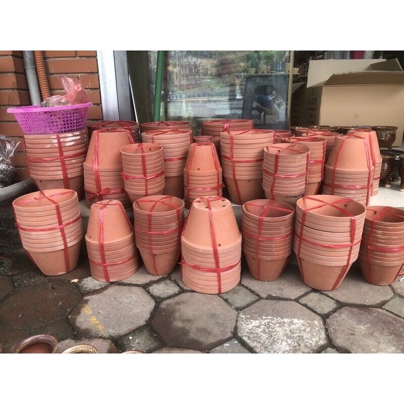 Chậu đất nung đủ sz