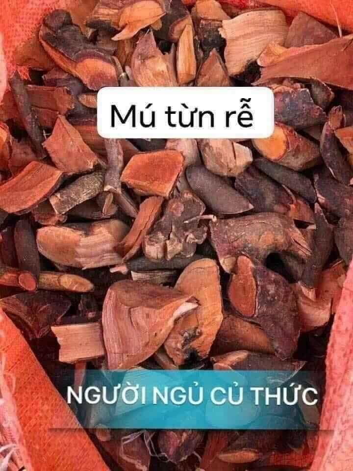 Rễ mù tứn đã phơi khô 1kg