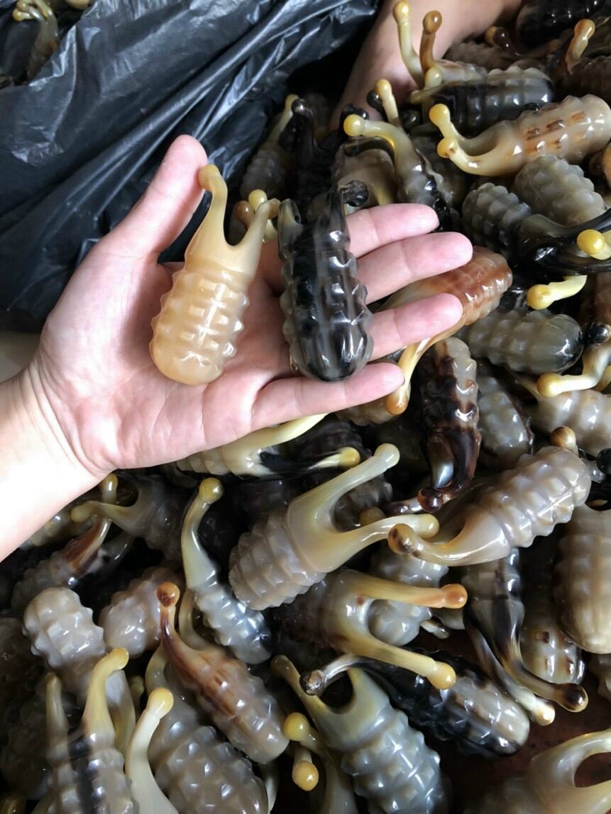 [TẠI XƯỞNG] ỐC SÊN THÂN DỨA DỤNG CỤ MATXA NÂNG CƠ MẶT