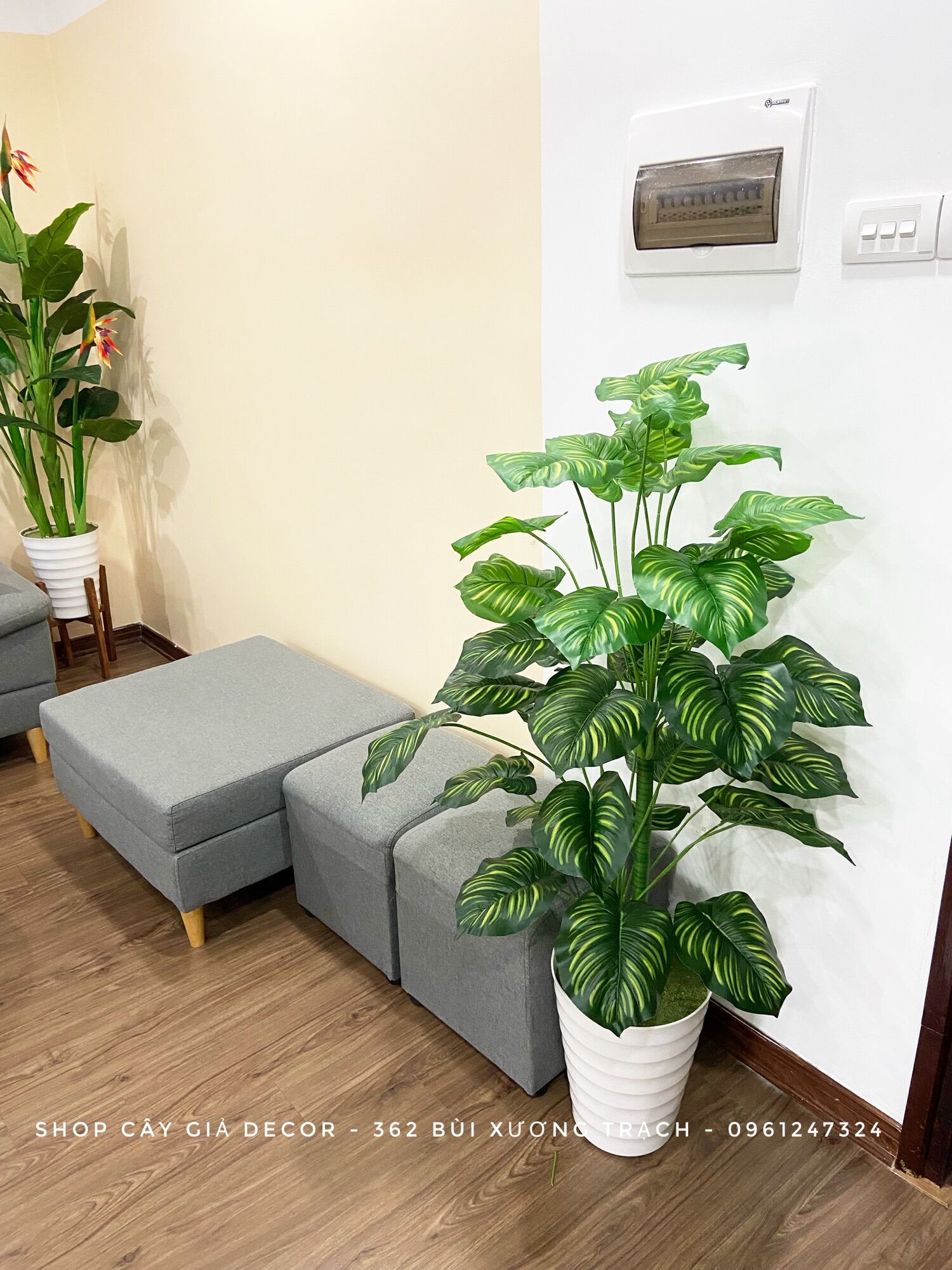 Cây giả - cây trầu bà sọc 1.1 m - cây đuôi công giả