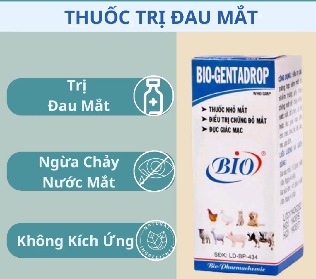 Nước nhỏ mắt cho chó mèo Bio - Gentadrop 10ml